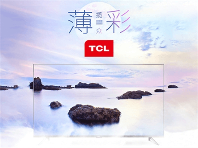 TCL集團股份有限公司網(wǎng)站建設項目